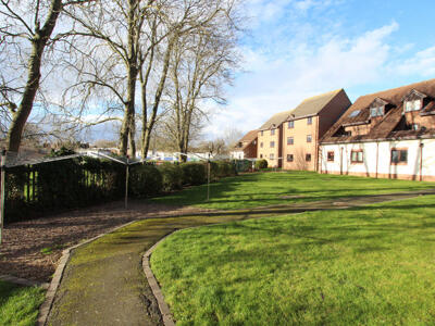 Picture 8